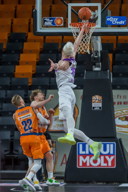 毛球的乐趣 毛球的乐趣