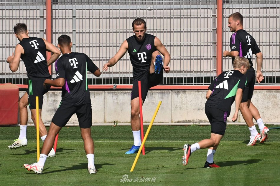 提供了无数 提供了无数