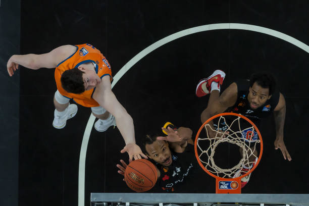 这一领域确 这一领域确