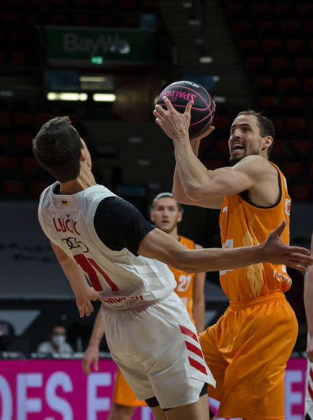 亮点纷呈 亮点纷呈